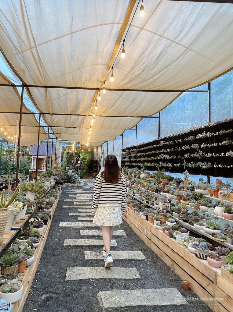 Văn phòng:  SANG GẤP QUÁN CAFE SÂN VƯỜN 1000M² - VỊ TRÍ TRUNG TÂM ĐÀ LẠT