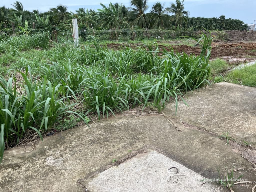 Bán đất nông, lâm nghiệp: Đất đẹp gần khu công nghiệp giao long