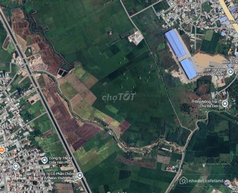 Bán đất nông, lâm nghiệp: 4000m2 đất trồng lúa tại Hiệp Phước Nhơn Trạch