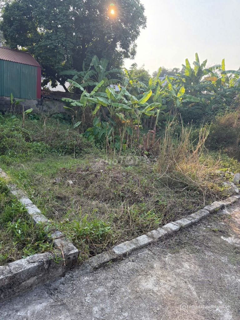 Bán đất thổ cư: CHÍNH CHỦ bán đất Tân Ước, Dân Hoà, Thanh Oai - Sát Vinhomes Oly