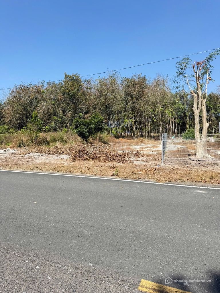 Bán đất thổ cư: Đầu Tuyến Xuyên tâm - điểm tiếp giáp Bình Dương với Bình Phước 2