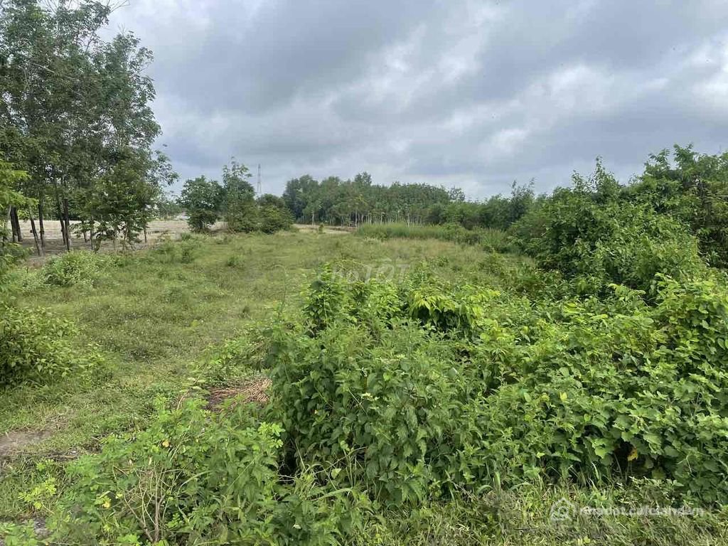 Bán đất nông, lâm nghiệp: Chính chủ cần bán đất tại đường Hồ Chí Minh, 6 tỷ, 164