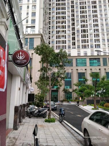 Mặt bằng: Cho thuê căn liền kề Roman Plaza view nội khu, Tố Hữu, Nam Từ Liêm
