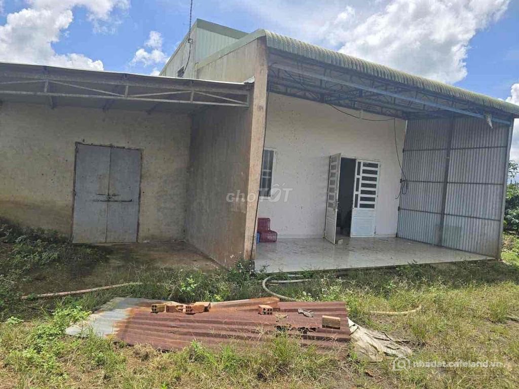 Bán đất nông, lâm nghiệp: chính chủ cần bán đất lộc ngãi bảo lâm bảo lộc