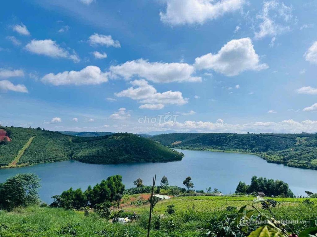 Bán đất nông, lâm nghiệp: Ngộp bank cần bán đất Hồ đak long thượng Lộc Ngãi Bảo 