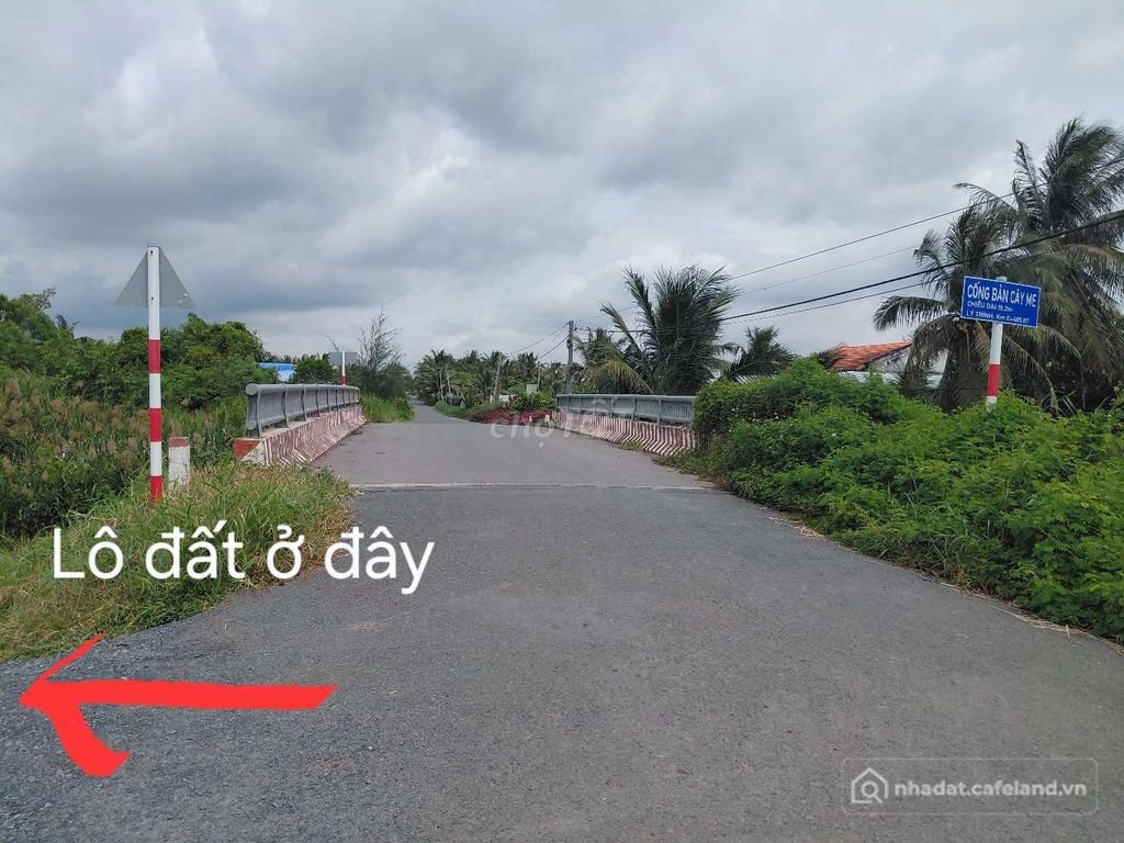 Bán đất nông, lâm nghiệp: Chính chủ cần bán đất mặt tiền đường cặp Kênh Cây Me