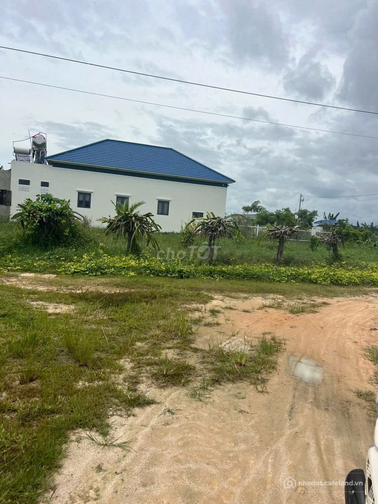 Bán đất nông, lâm nghiệp: Cần bán 1 sào đất khu rừng vàng - Tân Bình, La Gi