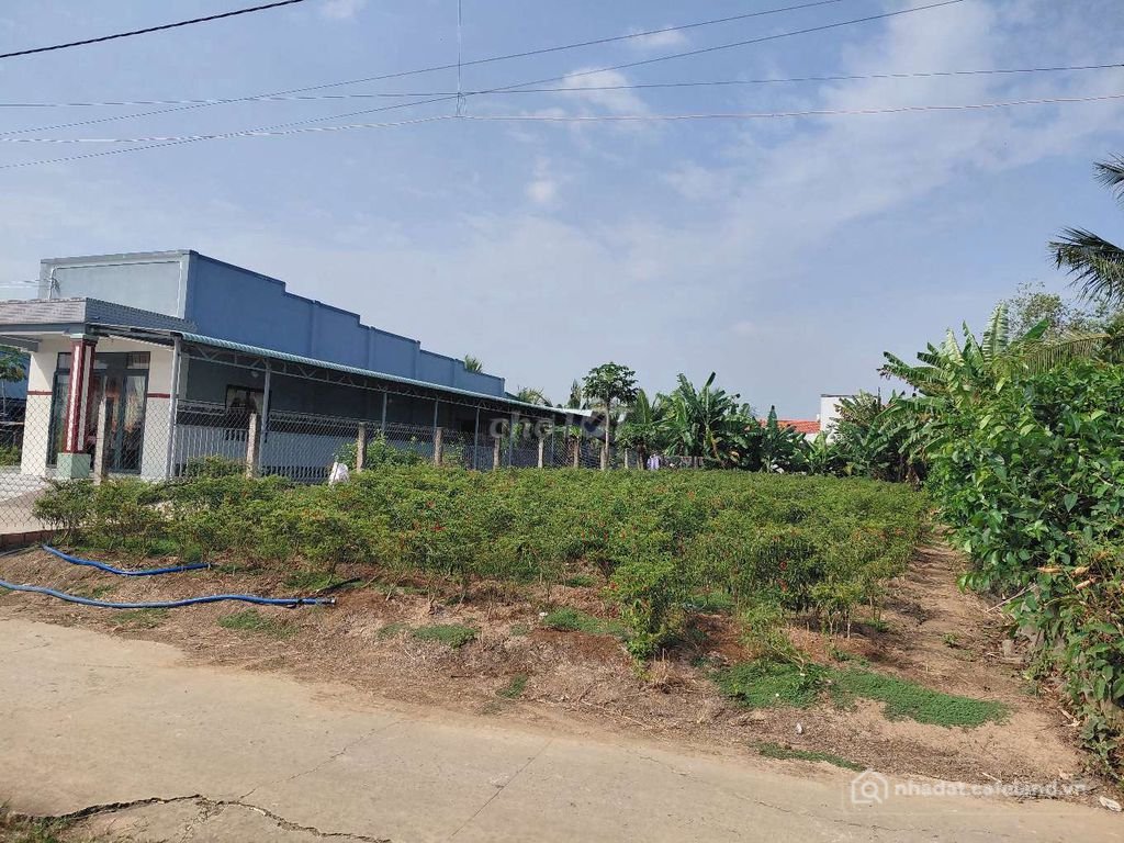 Bán đất thổ cư: Đất thổ cư (Diện tích: 10x43m) Gia Thuận Gò Công Đông, khu dân c