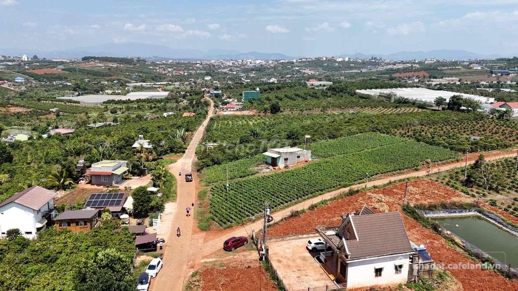 Bán đất thổ cư: BÁN ĐẤT ĐẸP NGAY MẶT TIỀN HUỲNH THÚC KHÁNG - TÂN HÀ - LÂM HÀ