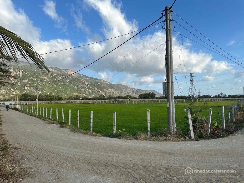 Bán đất nông, lâm nghiệp: BÁN 16000m2 đất gần KCN Du Long, Khánh Hoà