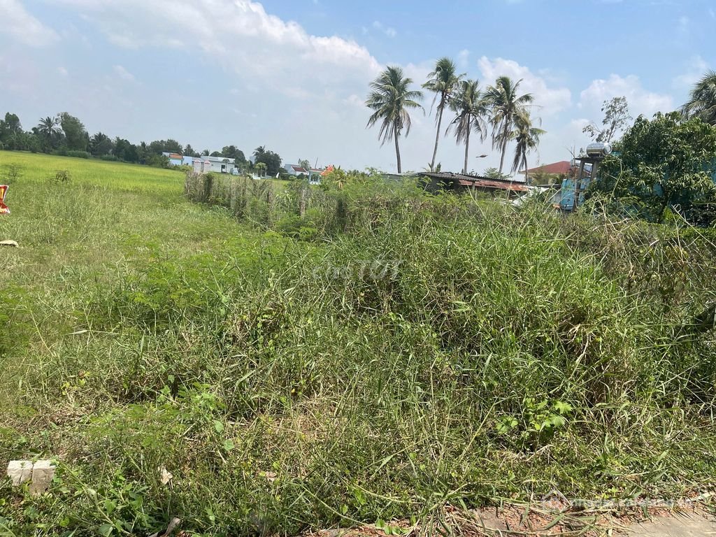 Bán đất thổ cư: Bán Đất Full Thổ Cư Gần Chợ  Gò Công Tiện Xây Nhà