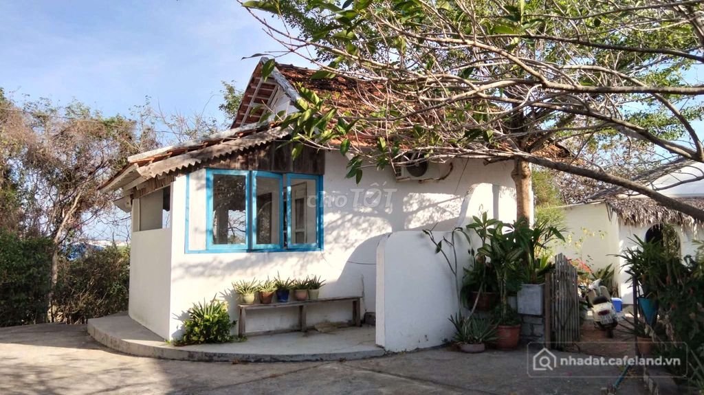 Bán đất nông, lâm nghiệp: Bán vườn sầu riêng mặt sông lớn Xã Đạ oai