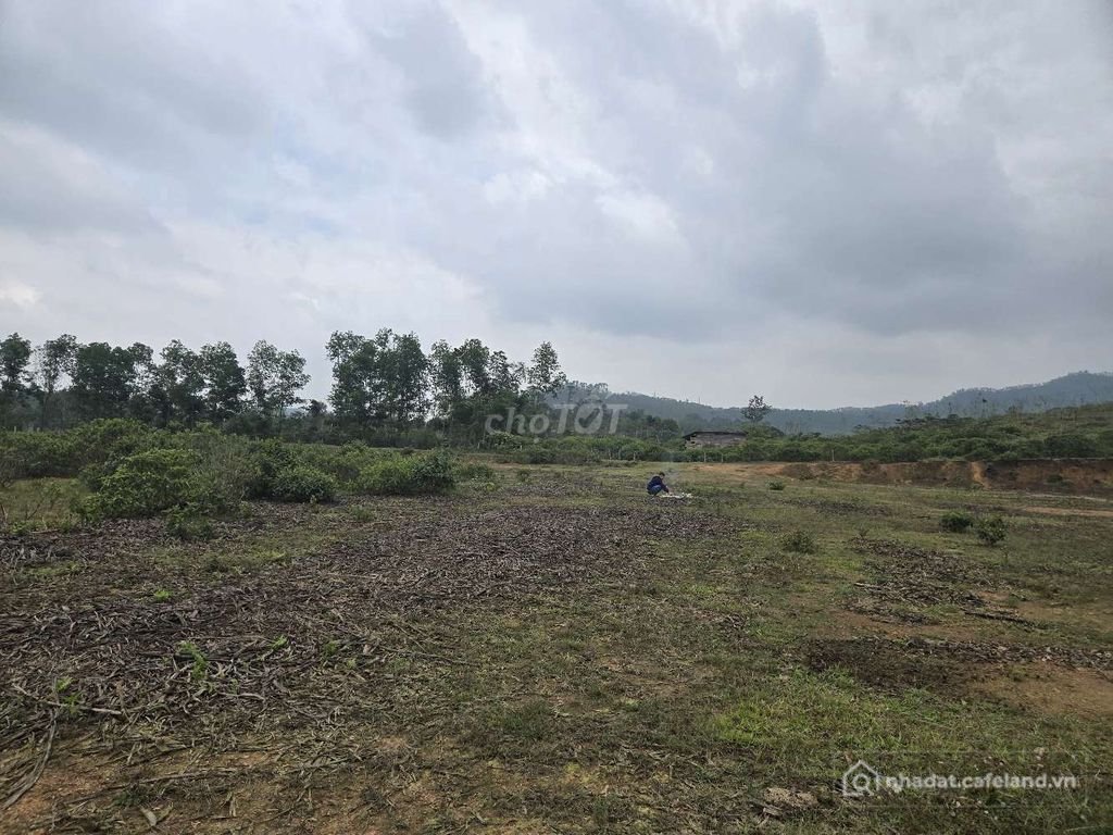 Bán đất thổ cư: Bán đất nhà vườn (Đất thổ cư)- Hà Linh - Hương Khê - Hà Tĩnh