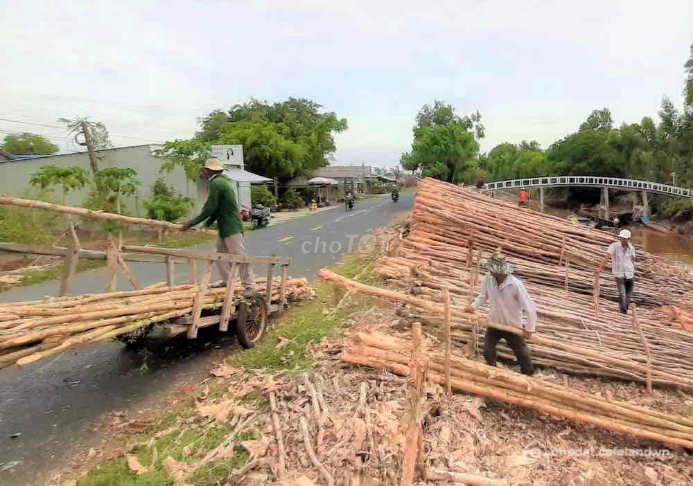 Bán đất nông, lâm nghiệp: Bán đất u minh