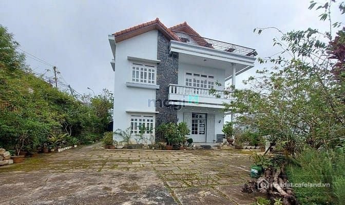 Bán đất thổ cư: Bán đất siêu đẹp 964m2 Mặt tiền đường Đống Đa Đà Lạt, quỹ đất lớ