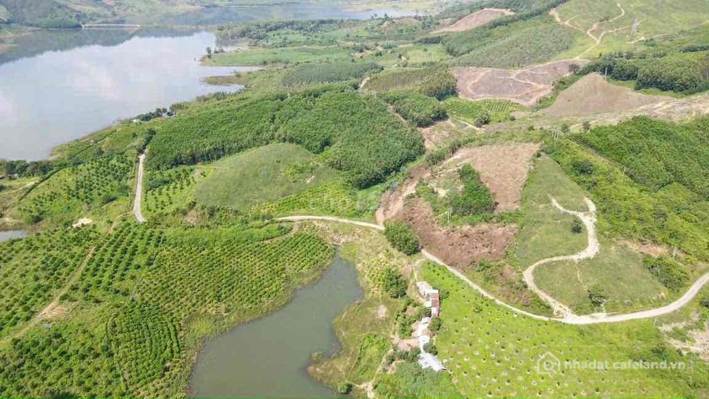 Bán đất nông, lâm nghiệp:  SỞ HỮU NGAY VIEW HỒ TRIỆU ĐÔ – GIÁ CHỈ 720 TRIỆU! 8.