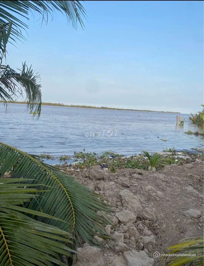 Bán đất nông, lâm nghiệp: Đất vườn 11000 m2 Long Định Bình Đại