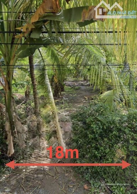 Bán đất nông, lâm nghiệp: ĐẤT NGAY SAU LƯNG KHU HÀNH CHÁNH BÌNH TÂN GẦN CHỢ NGÃ 