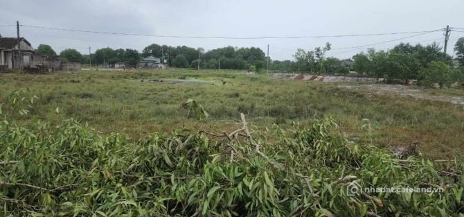Bán đất thổ cư: Đất Biển Trung Giang Gio hải Quảng Trị giá chỉ từ 3xx triệu