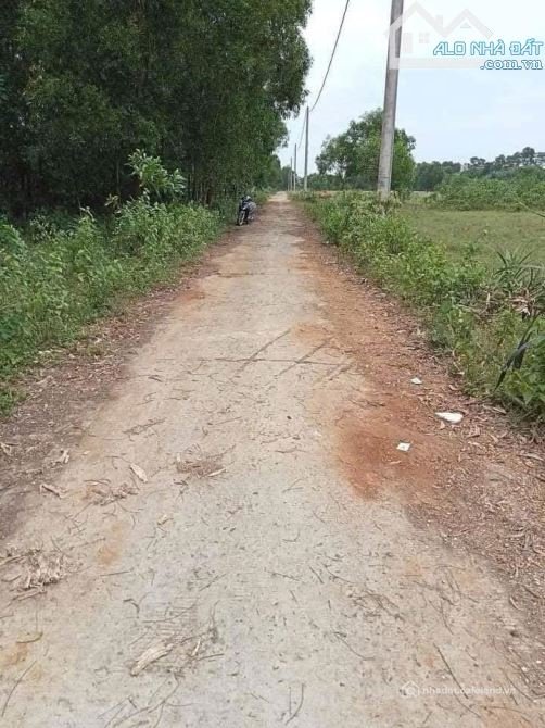 Bán đất thổ cư: Đất Phân Lô Nhà Nước Gần KCN Quán Ngang – Cơ Hội Đầu Tư Sinh Lời