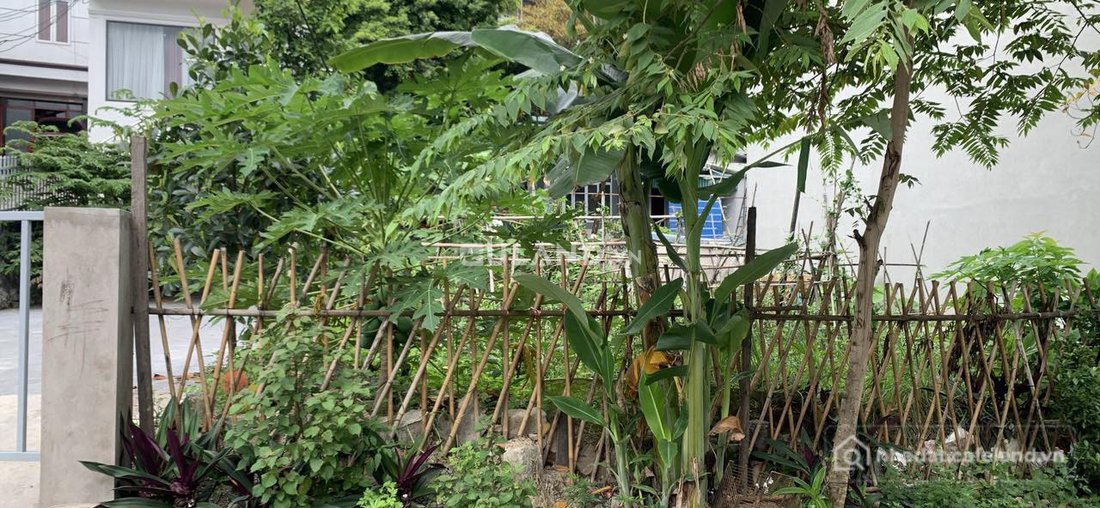 Bán đất thổ cư: BÁN ĐẤT MẶT ĐƯỜNG NGÕ 5 BÃI MUỐI THÔNG LIDECO,CAO THẮNG,HẠ LONG,