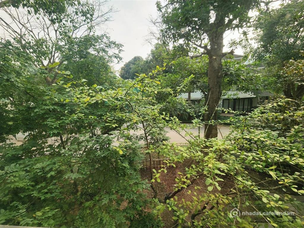 Bán nhà riêng: Bán căn biệt thự đơn lập lõi vườn tùng, khu đô thị ecopark hưng y