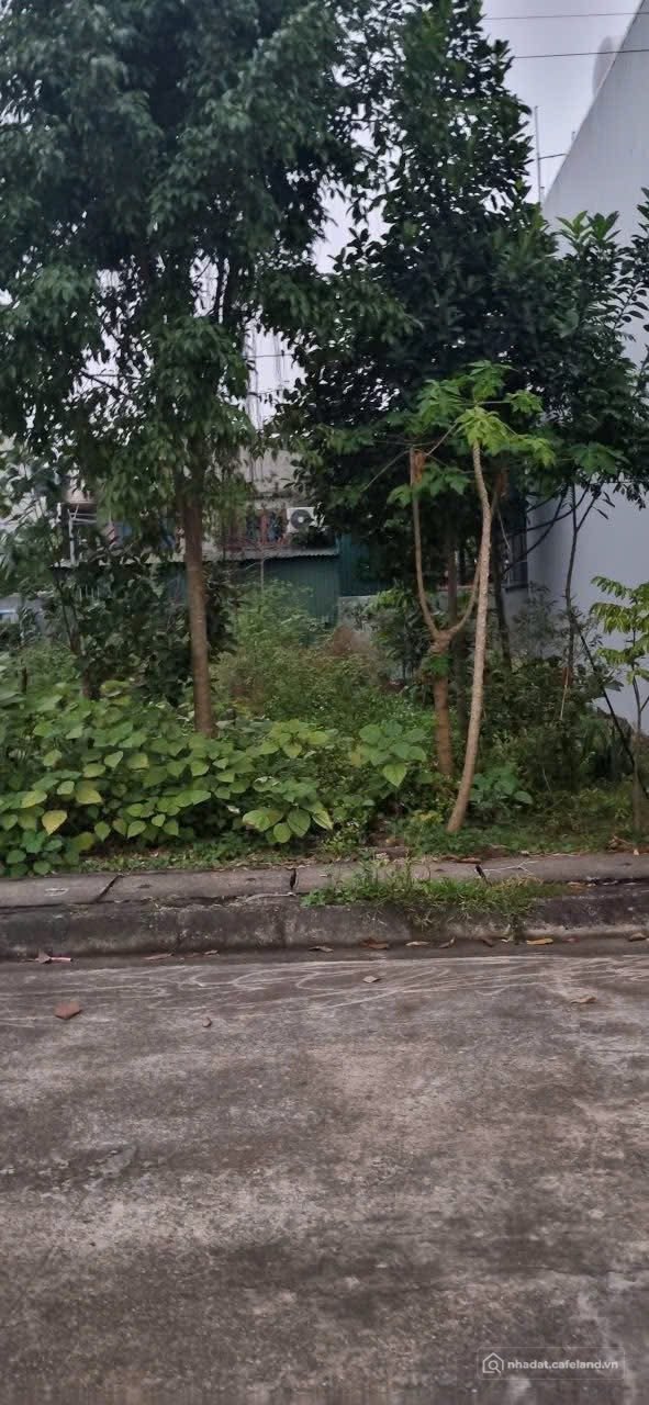 Bán đất thổ cư: Bán đất khu đô thị Phúc Thành, Duy Tiên, Hà Nam ( Ninh Bình )