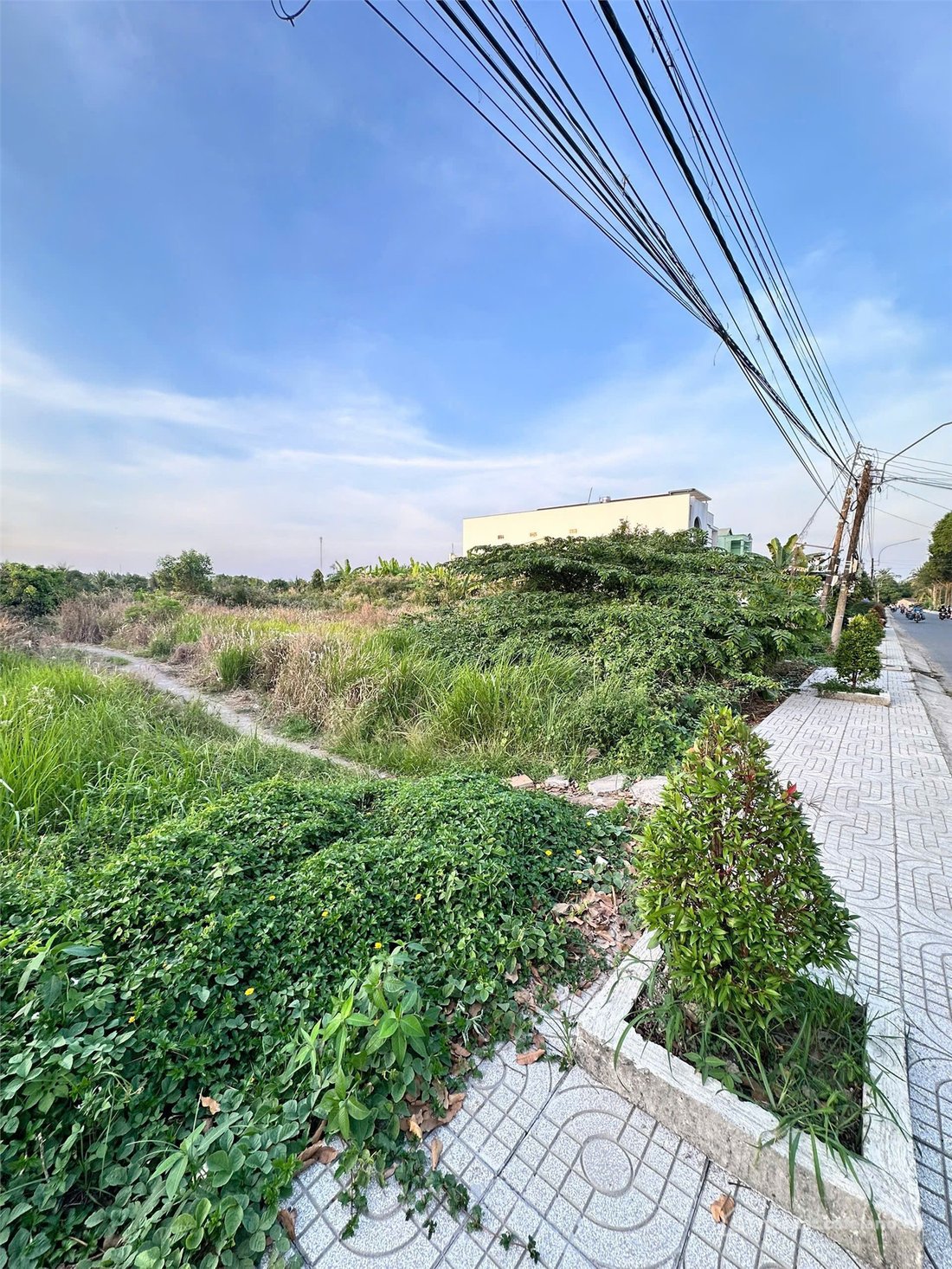 Bán đất thổ cư: ĐẤT ĐẸP- GIÁ TỐT- CẦN BÁN NHANH ĐẤT tại Thị trấn Trà Ôn, Vĩnh Lo