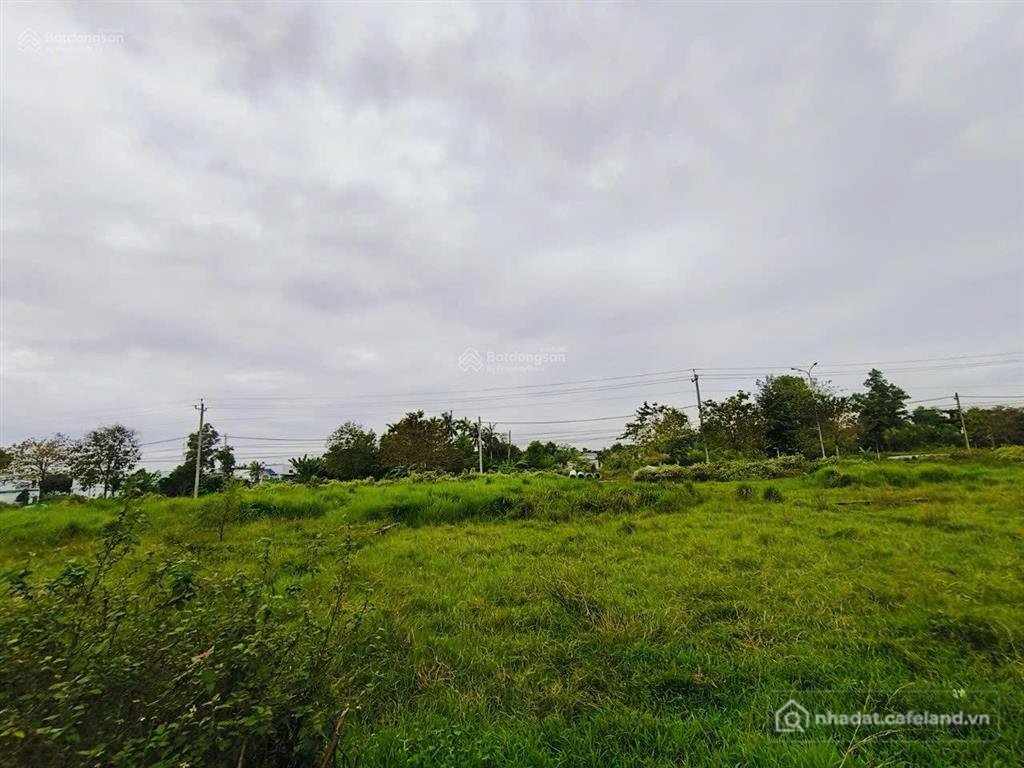 Bán đất thổ cư: Bán 2 lô đất liền kề trong kdc minh linh, mỗi lô 5x20m