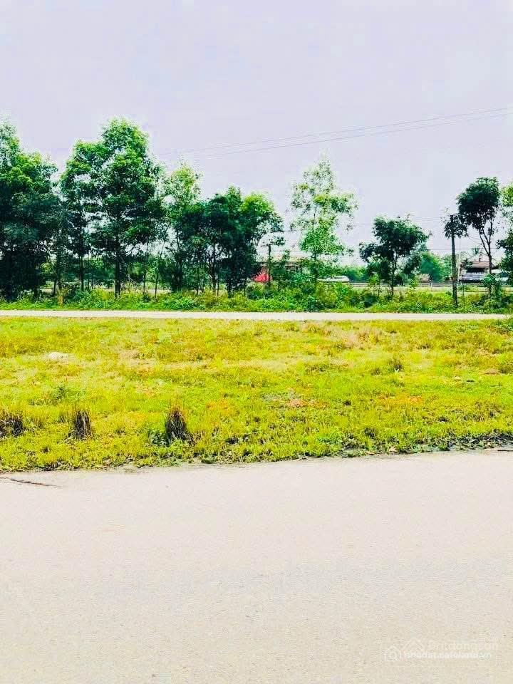 Bán đất thổ cư: Bán đất 200m2 cách vsip vài bước chân giá siêu hời tại quốc lộ 1