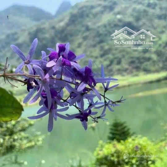 Bán nhà hàng - Khách sạn: đất Nghỉ Dưỡng Bám Hồ Sẵn Homestay đang Hoạt động Bám 