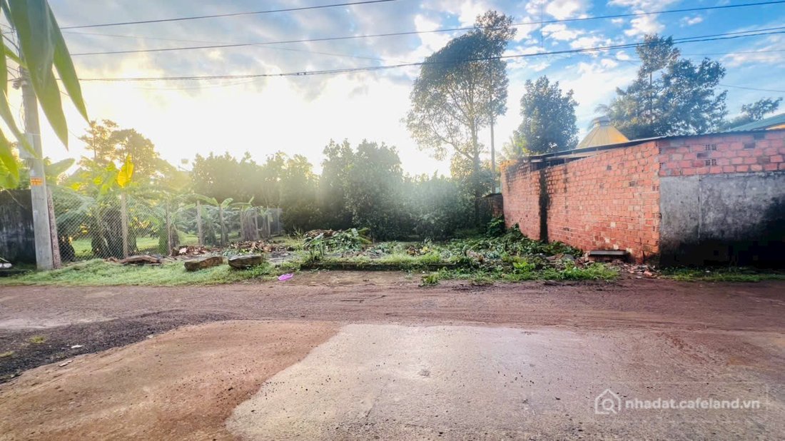 Bán đất thổ cư: ĐẤT ĐẸP ĐỒI THÔNG PHAN ĐÌNH PHÙNG – KHU DÂN CƯ, ĐƯỜNG NHỰA ĐẸP