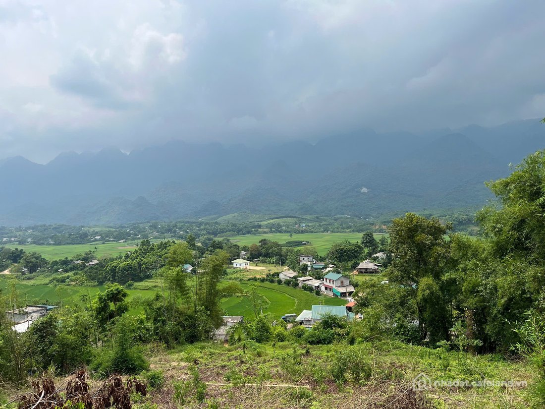 Bán đất thổ cư:  BÁN ĐẤT NGHỈ DƯỠNG – LỖ SƠN, TÂN LẠC, HÒA BÌNH   Diện tích: 