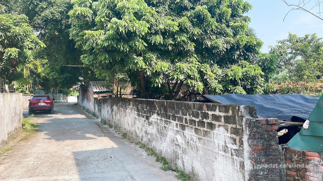 Bán đất thổ cư: Bán đất 200m² ngang 10m giá 1.48 tỷ Xã Phùng Nguyên