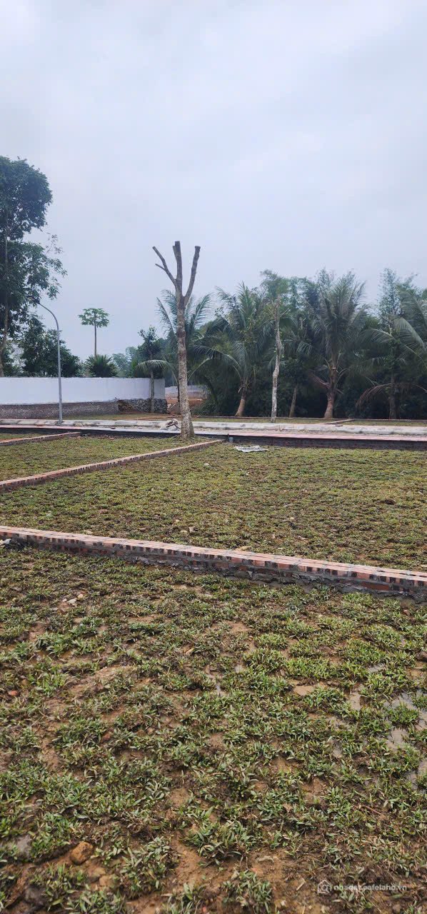 Bán đất thổ cư: LÔ ĐẤT KIM BÔI – GIAI ĐOẠN 1 VỪA MỞ BÁN, THANH KHOẢN RẤT TỐT