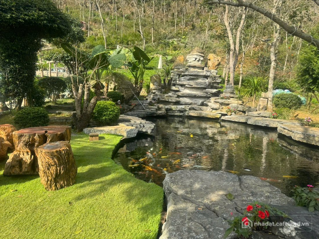 Bán đất thổ cư: CƠ HỘI ĐẦU TƯ RESORT TÂM AN 999 – QUY MÔ LỚN 1,7HA – MỘC CHÂU