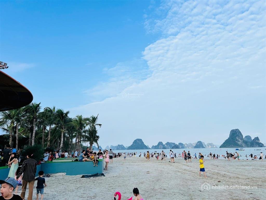 Bán nhà riêng: Giỏ hàng 2026 giá tốt hơn hẳn thị trường (số lượng không nhiều)