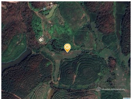 Bán đất thổ cư: Bán đất 40000m² giá 10 tỷ tại Xã Cộng Hòa Thành phố Cẩm Phả