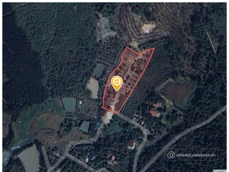 Bán đất thổ cư: Bán đất 6024.7m² tại Phường Phương Đông Thành phố Uông Bí