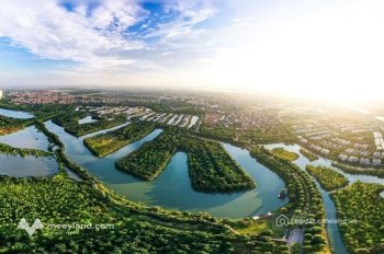 Cho thuê căn hộ chung cư: Cho thuê căn hộ 1 phòng ngủ 38m2 Eco Central Park TP V