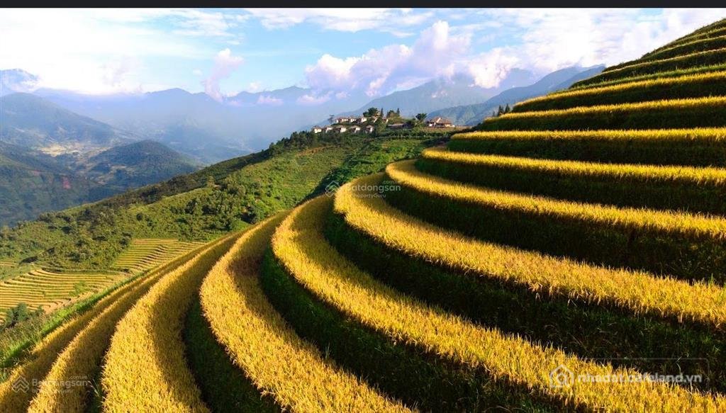 Bán đất thổ cư: Cần bán đất thổ cư ngay cổng topas ecolodge sa pa lào cai