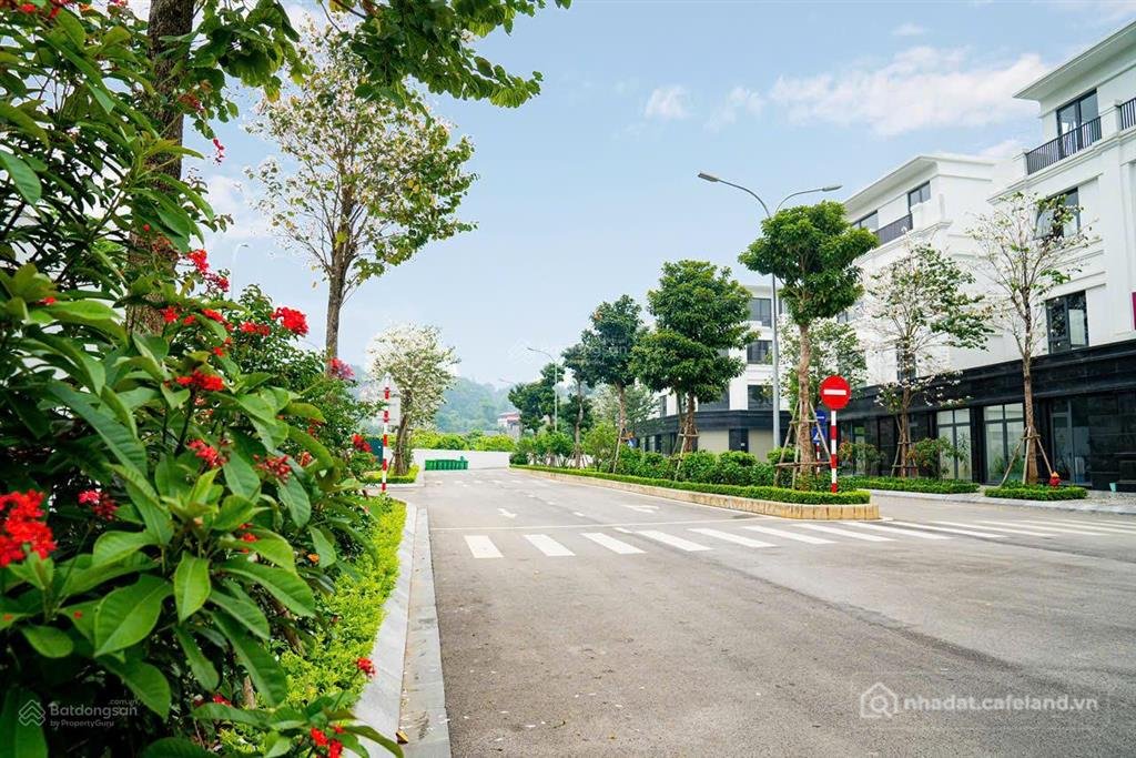 Bán nhà riêng: Cắt lỗ bán nhanh shophouse 4 tầng ngay trung tâm tp lạng sơn, mặt