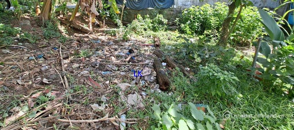Bán đất thổ cư: Bán nền 200m² (5.5m x 37m, thổ 100m²) đường đan xe ô tô, p. cao 