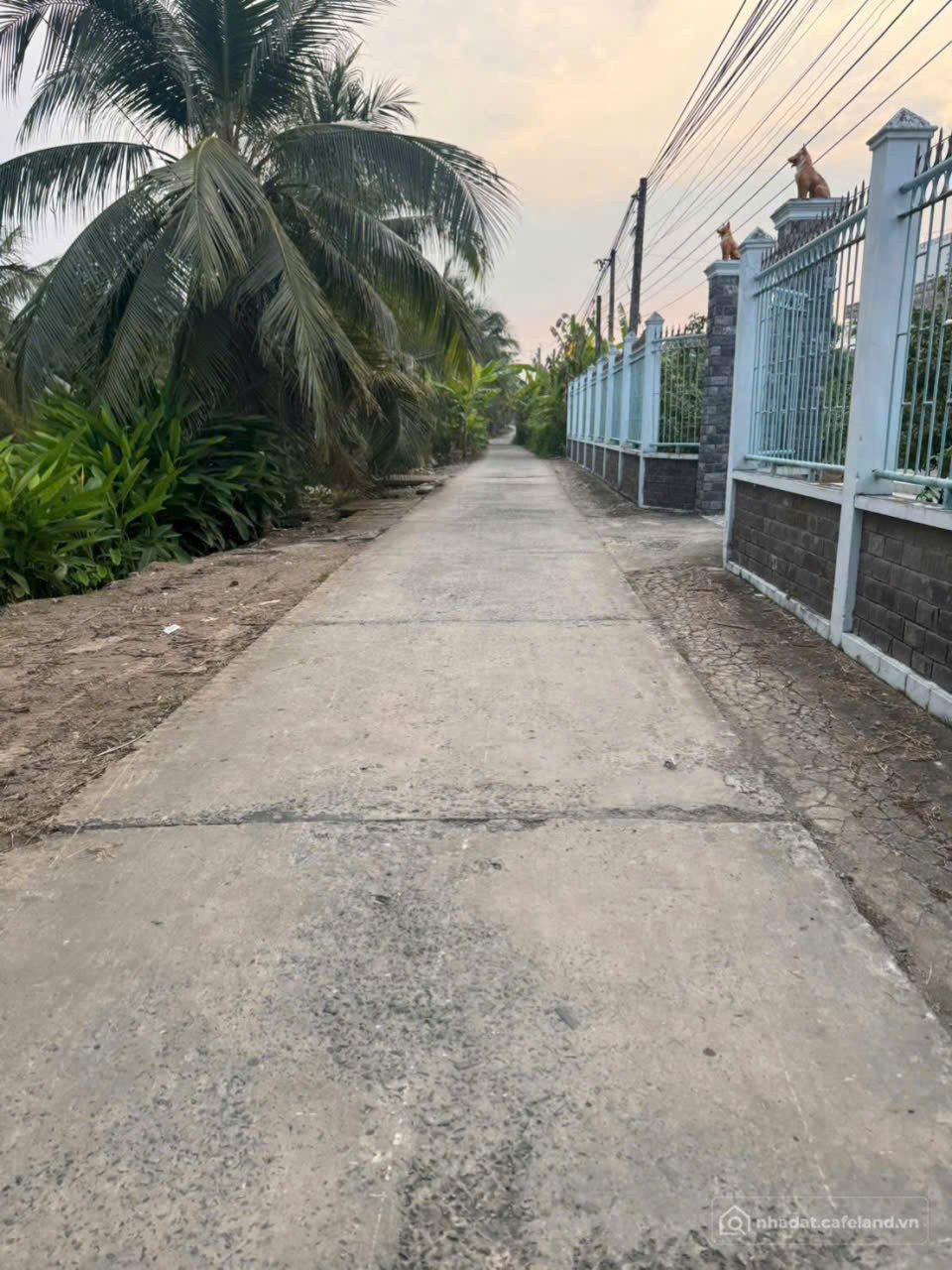 Bán đất thổ cư: KHU VƯỜN CÂY ĂN TRÁI SUM SÊ. Rộng 1.300m2 Gần khu công nghiệp Tâ