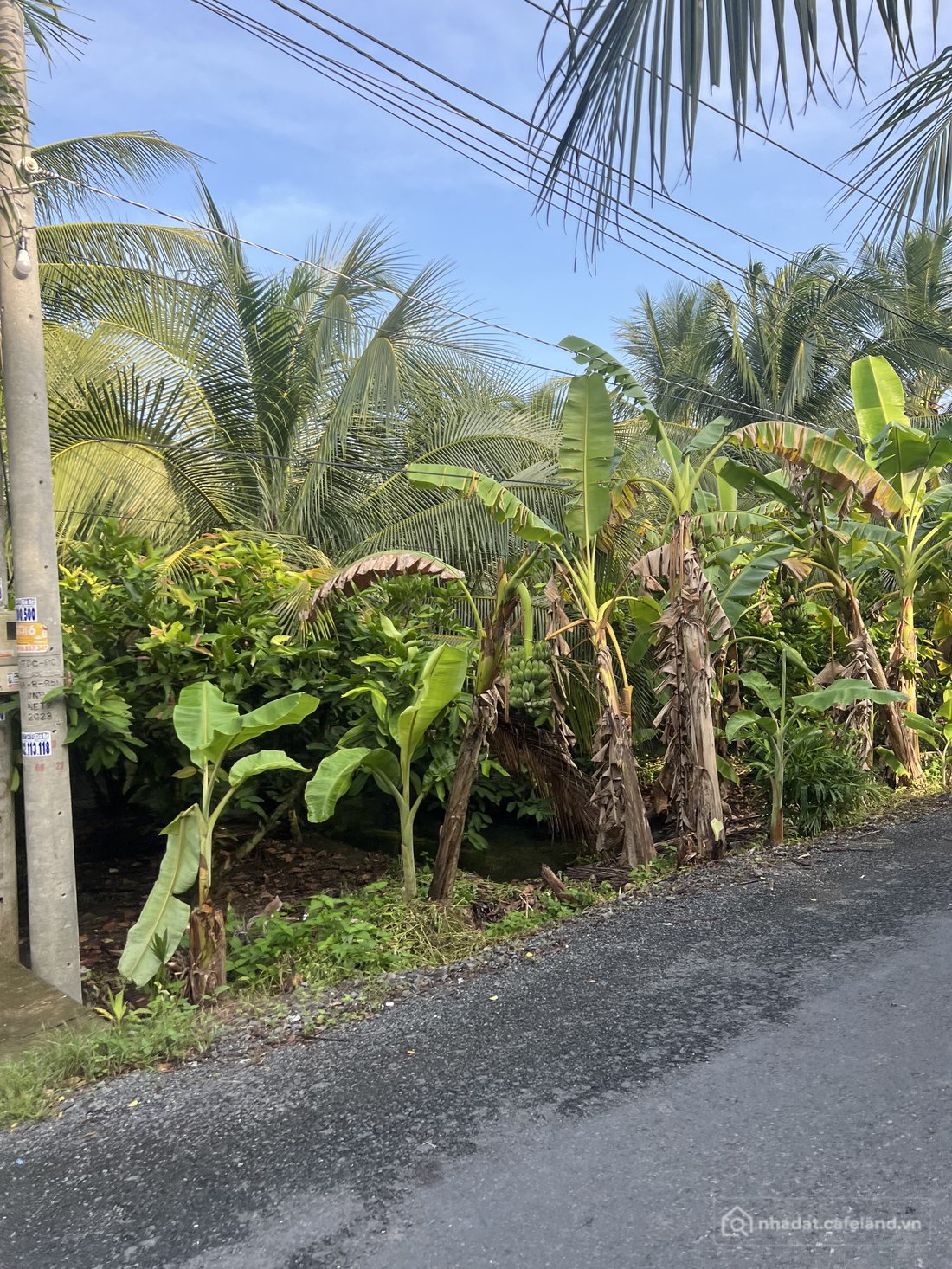 Bán đất thổ cư: Bán đất 960.2m² ngang 20m giá 4.5 tỷ Xã Lương Hòa Lạc