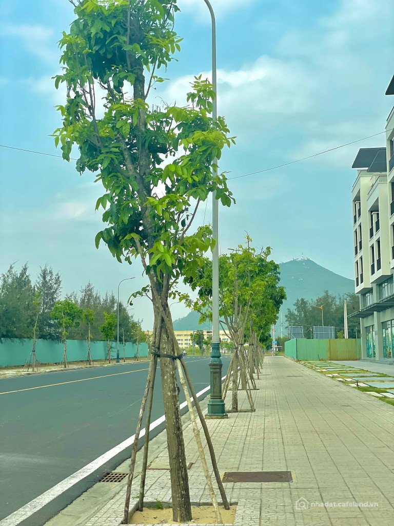 Bán đất thổ cư: Bán Shophouse Biển L'Aurora Phú Yên Diện tích 108 m² đất, xây 5 