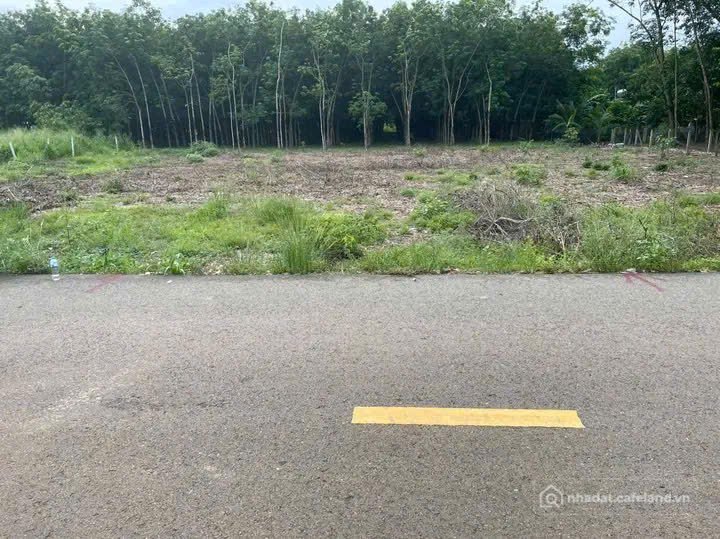 Bán đất thổ cư: Ngộp 300m2/550 TRIỆU ngay KĐT Phúc Hưng Golden, Chơn Thành, sổ s