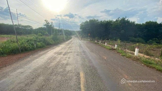 Bán đất thổ cư: BÁN GẤP GẦN 3HA ĐẤT TÂN THÀNH, BÙ ĐỐP, BÌNH PHƯỚC SẴN THỔ CƯ