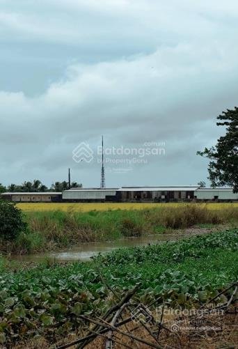 Bán kho, nhà xưởng: Chính chủ bán 6,8 công đất và nhà xưởng tại tl 919, vĩnh thạ