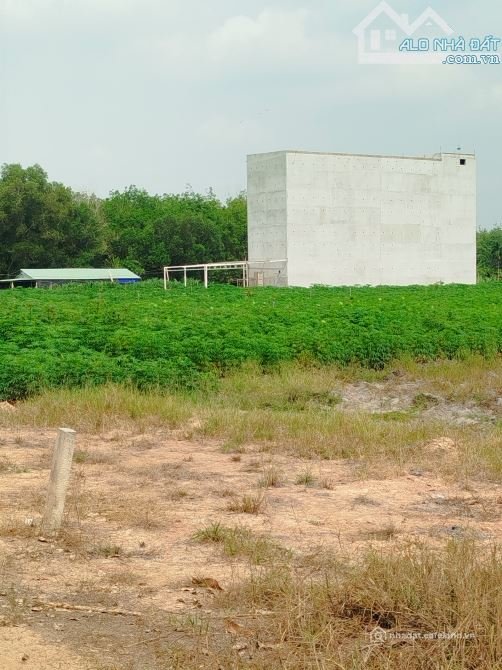 Bán đất nông, lâm nghiệp: Bán đất Thạnh Thọ Thạnh Bình 7x158m ngay khu dân cư gi